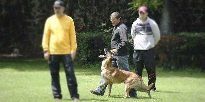 Entrenamientos deportivos